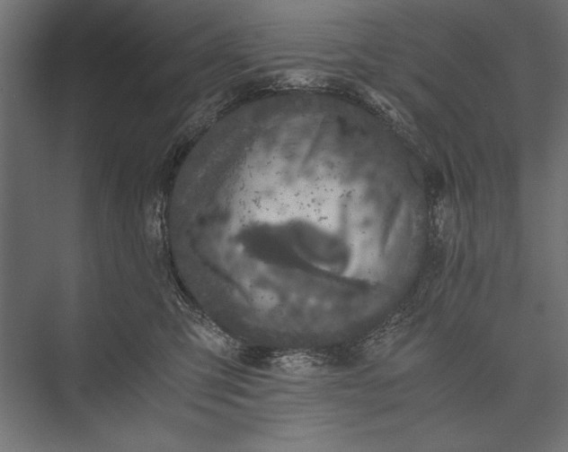 X0000076030423200610061423