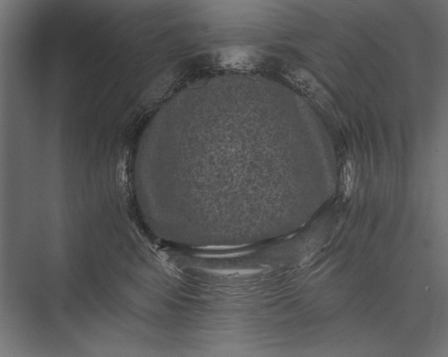 X0000076030424200610061423