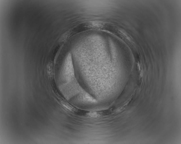 X0000076030425200610061423