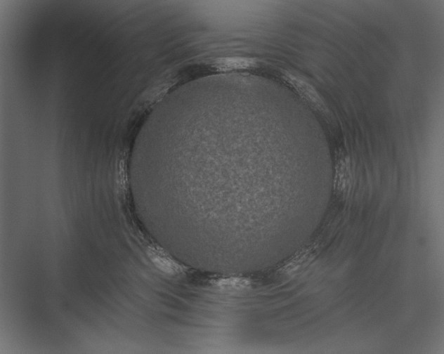 X0000076030426200610061423