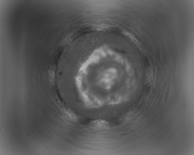 X0000076030427200610061423