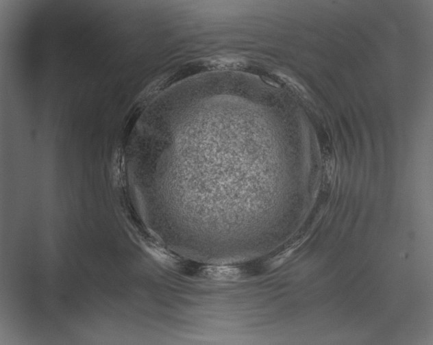 X0000076030429200610061423