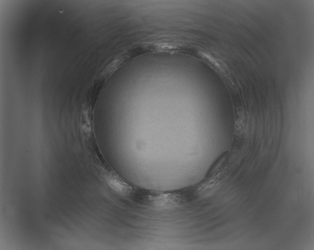 X0000076030430200610061423