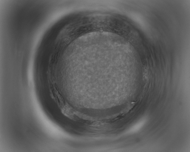 X0000076030431200610061423