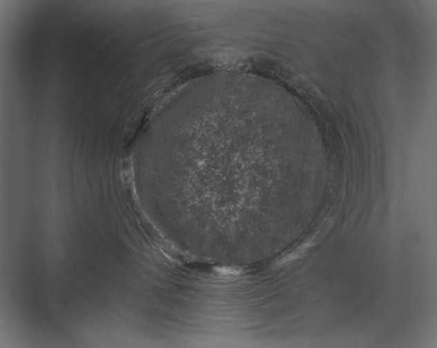 X0000076030432200610061423