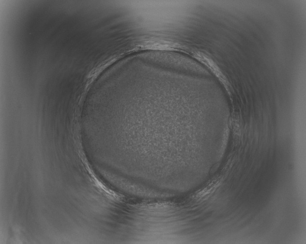 X0000076030433200610061422