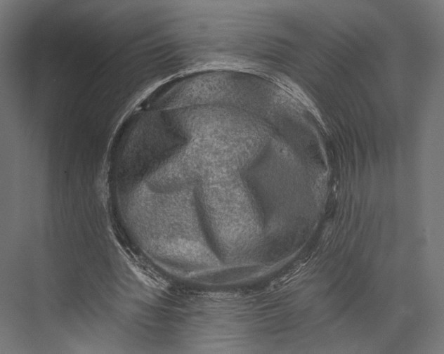 X0000076030436200610061422