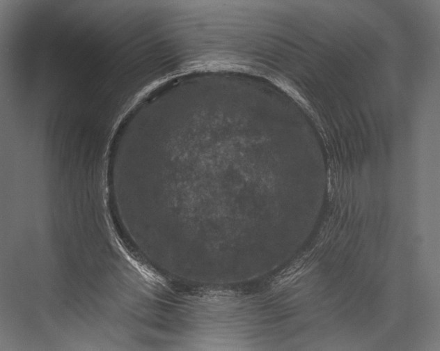 X0000076030438200610061422