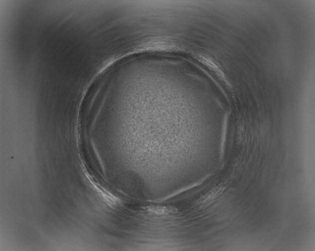 X0000076030439200610061422