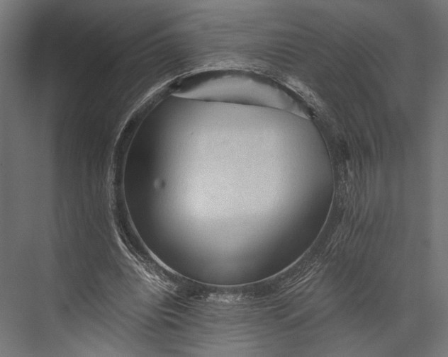 X0000076030440200610061422