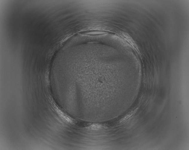 X0000076030441200610061422