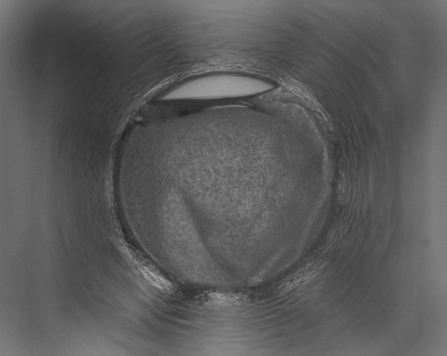 X0000076030442200610061422