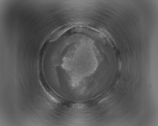 X0000076030444200610061422