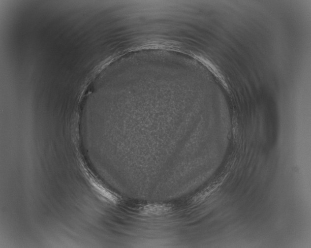 X0000076030445200610061422