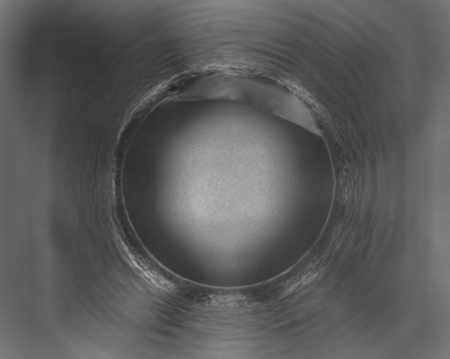 X0000076030446200610061422