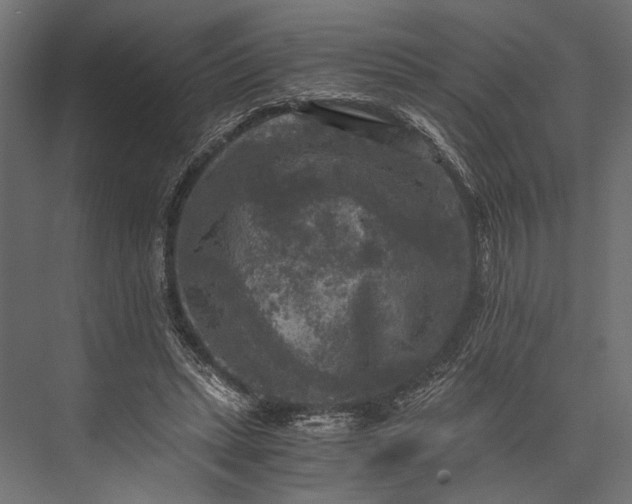 X0000076030447200610061422