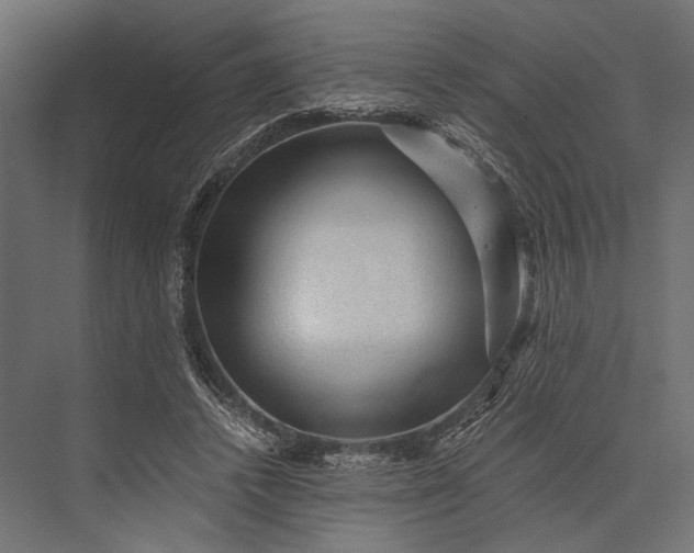 X0000076030448200610061422