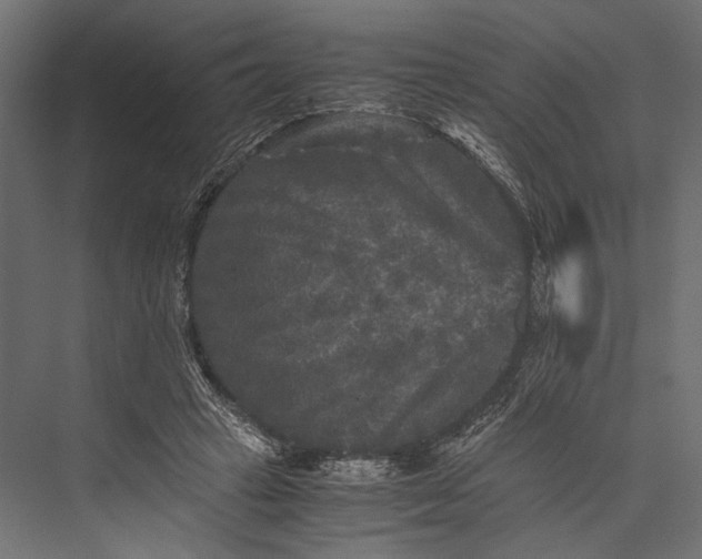 X0000076030449200610061422