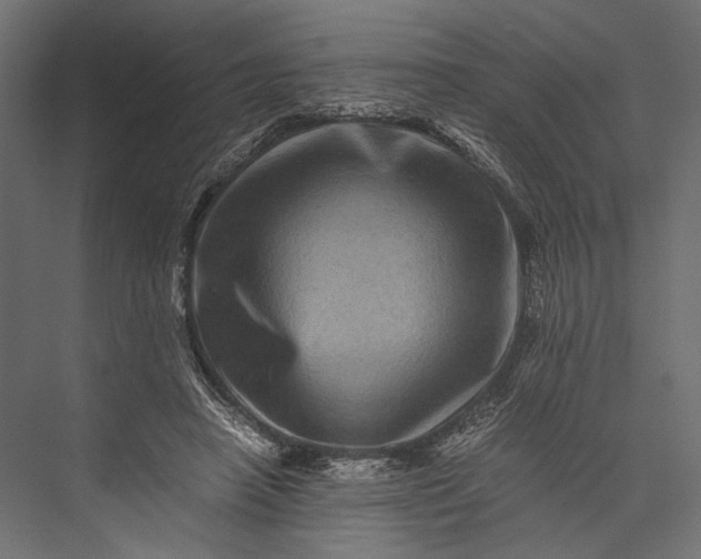 X0000076030450200610061422