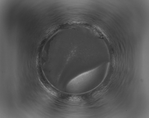 X0000076030451200610061422