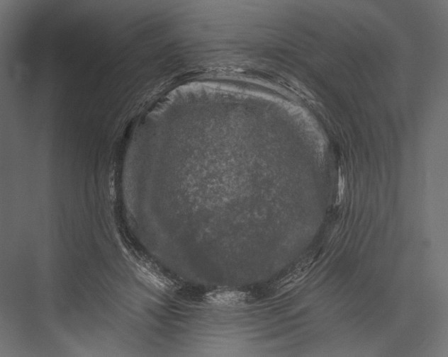 X0000076030452200610061422