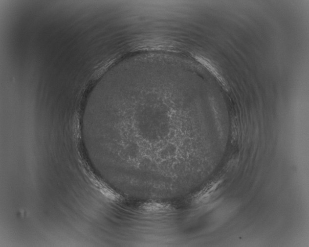 X0000076030453200610061422