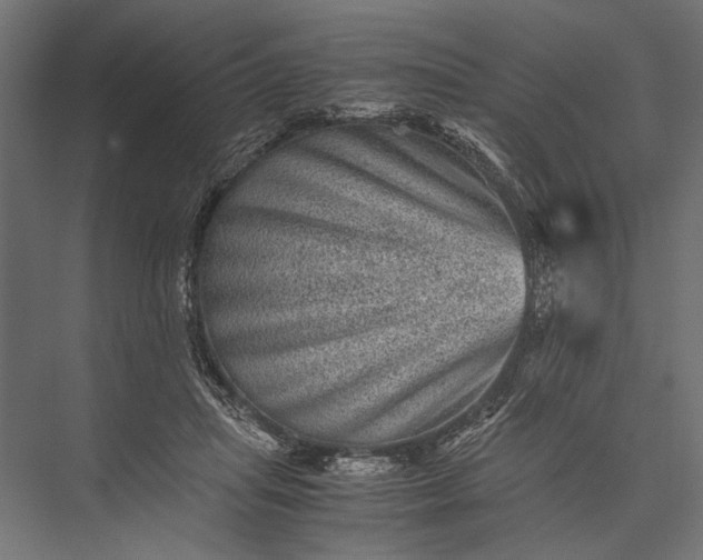 X0000076030455200610061422