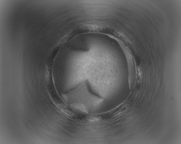 X0000076030456200610061422