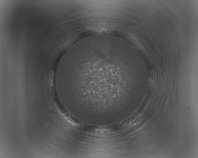 X0000076030458200610061422