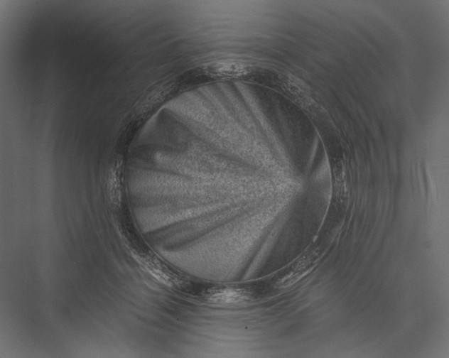 X0000076030460200610061422