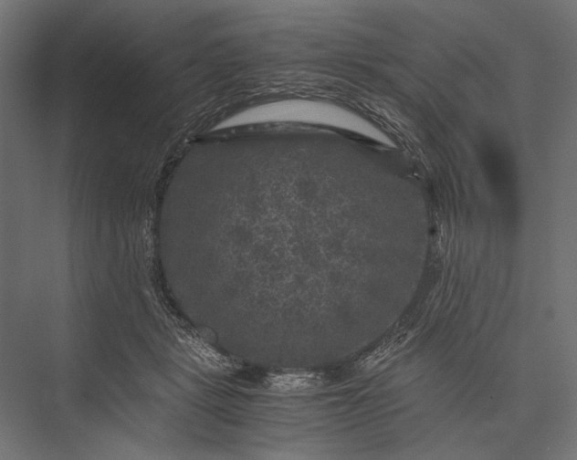 X0000076030461200610061422