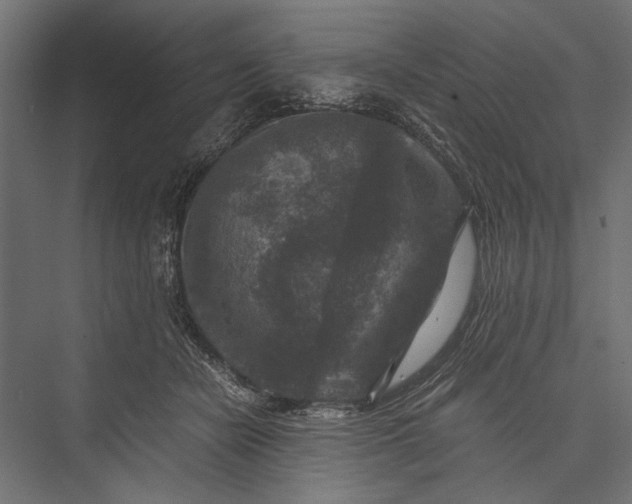 X0000076030462200610061422