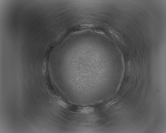 X0000076030463200610061422