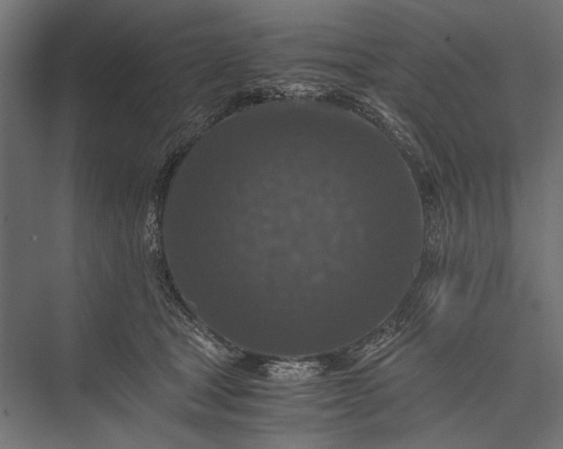 X0000076030465200610061422