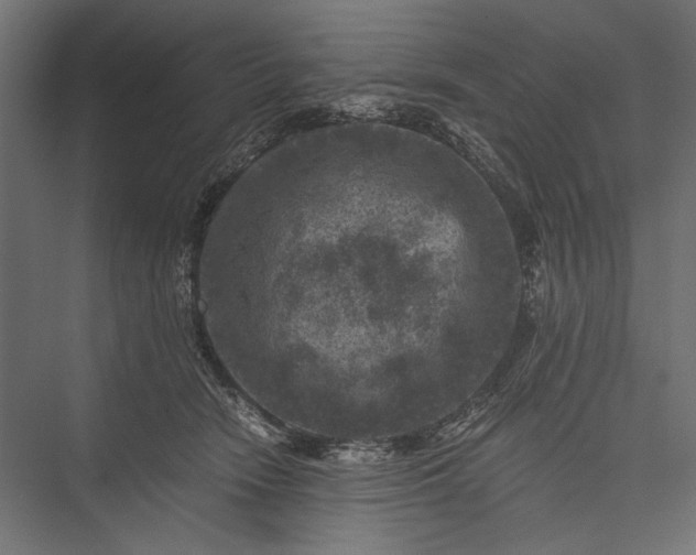 X0000076030466200610061422