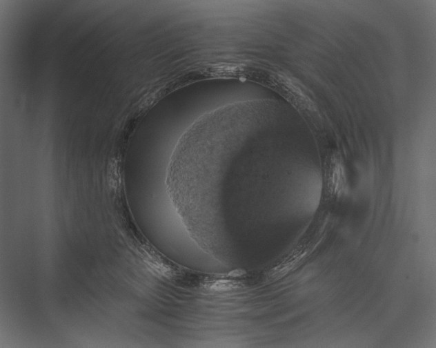 X0000076030467200610061422