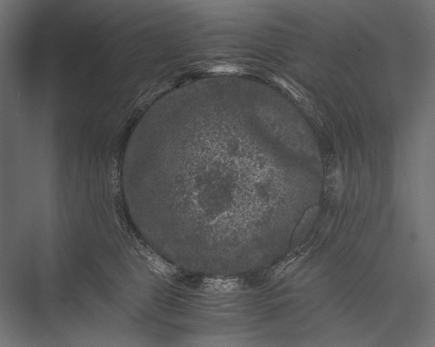 X0000076030469200610061423