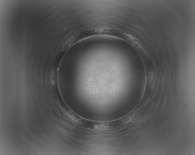 X0000076030470200610061423