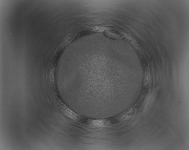 X0000076030473200610061423