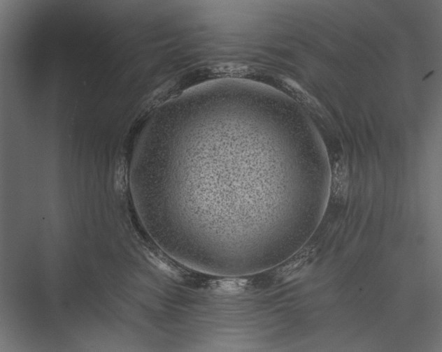 X0000076030474200610061423