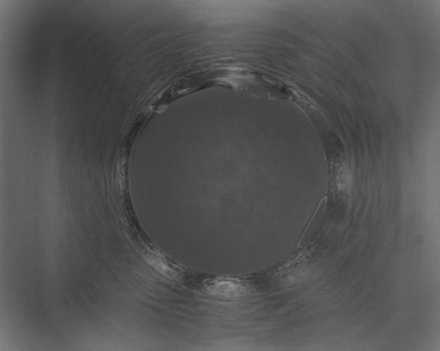 X0000076030475200610061423