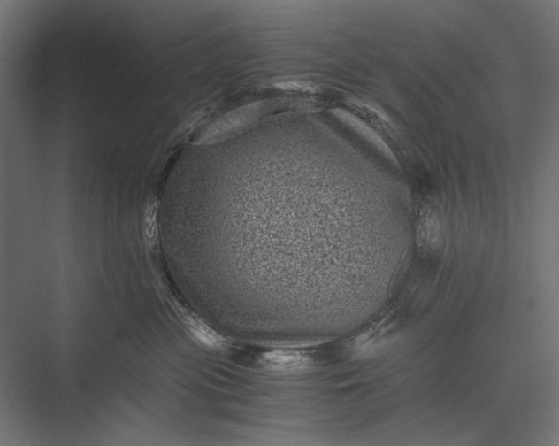 X0000076030477200610061423