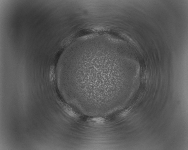 X0000076030478200610061423