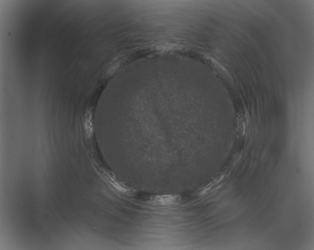 X0000076030479200610061423