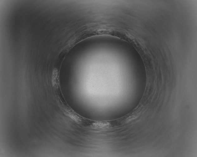 X0000076030480200610061423