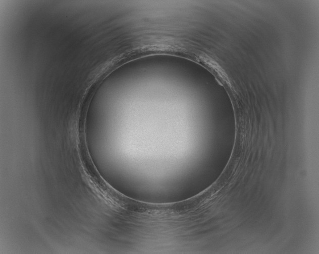 X0000076030482200610061422