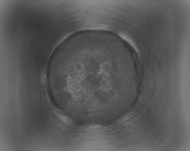 X0000076030483200610061422