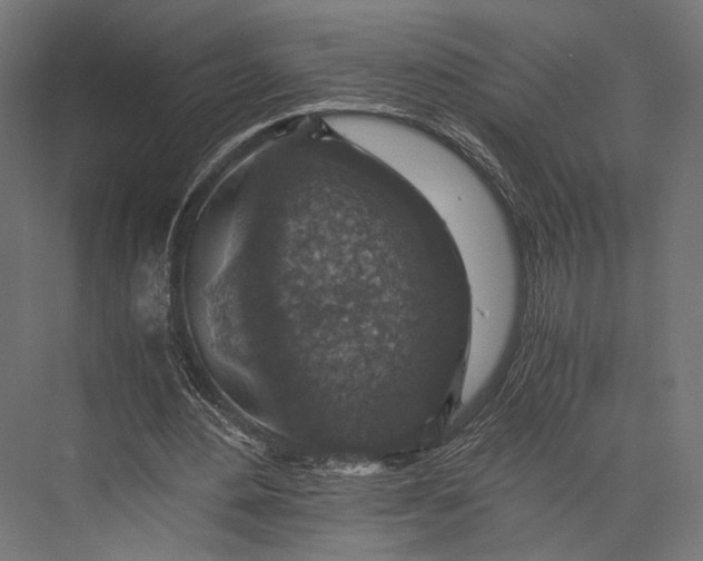 X0000076030484200610061422