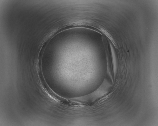 X0000076030485200610061422