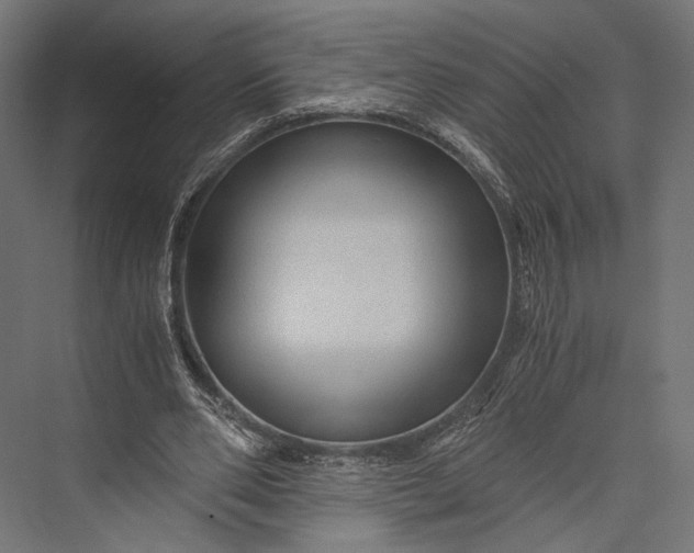 X0000076030486200610061422